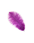Ostrich Drab Feather Medium 1 pc