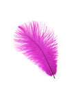 Ostrich Drab Feather Medium 1 pc