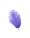 Ostrich Drab Feather Small 1 pc