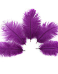 Ostrich Drab Feather Small 1 pc