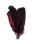 Turkey Quills Tie Dyed Selected Pairs 2pc