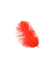 Ostrich Drab Feather Medium 1 pc