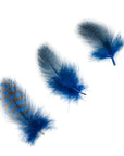 Guinea Plumage Loose 1 oz