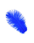 Ostrich Drab Feather Medium 1 pc
