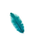 Ostrich Drab Feather Medium 1 pc