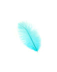 Ostrich Drab Feather Medium 1 pc