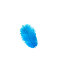 Ostrich Drab Feather Small 1 pc