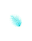 Ostrich Drab Feather Small 1 pc