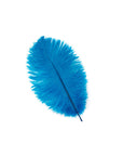 Ostrich Drab Feather Medium 1 pc
