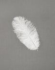 Ostrich Drab Feather Medium 1 pc