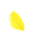 Ostrich Drab Feather Medium 1 pc