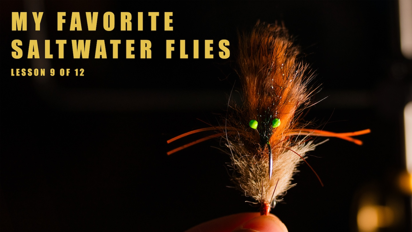 Lesson 9 - “What is in my fly box” with Jesse Males