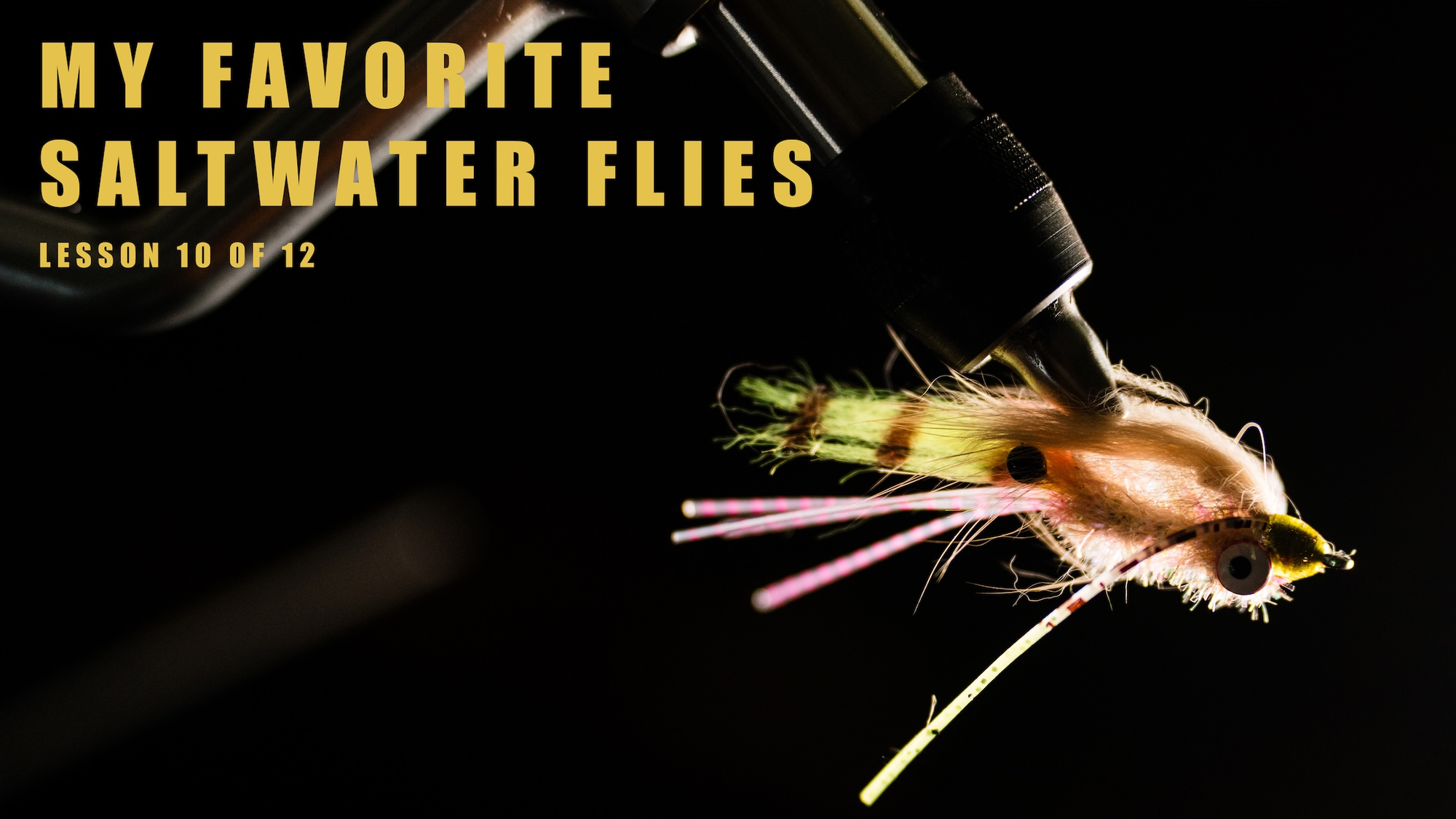 Lesson 10 - “What is in my fly box” with Jesse Males