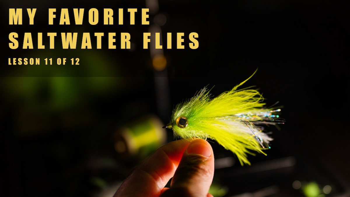 Lesson 11 - “What is in my fly box” with Jesse Males