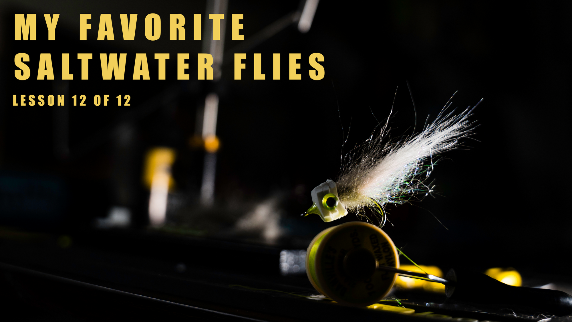 Lesson 12 - “What is in my fly box” with Jesse Males