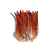 Rooster Natural Red Hackle Strung 2in strip
