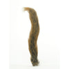 Squirrel Tail