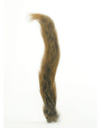 Squirrel Tail