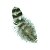 Rooster Chinchilla Plumage Loose 1/2oz