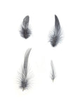 Rooster Hackle Loose Medium 1/4 oz