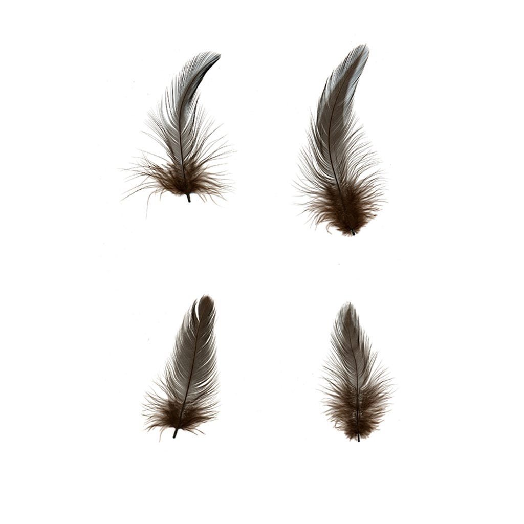 Rooster Neck Hackle Loose Medium 1/4 oz – MarabouBrothers