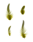 Rooster Hackle Loose Medium 1/4 oz