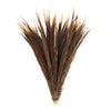 Pheasant Golden Center Tails Selected 2 pc