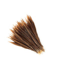 Golden Pheasant Tails 2 pc