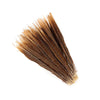 Golden Pheasant Tails 2 pc