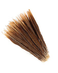 Golden Pheasant Tails 2 pc