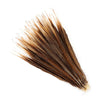 Golden Pheasant Tails 2 pc