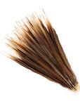 Golden Pheasant Tails 2 pc