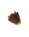 Golden Pheasant Tails 2 pc