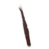 Golden Pheasant Complete Tail Feather