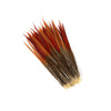 Golden Pheasant Red Tops 2 pc