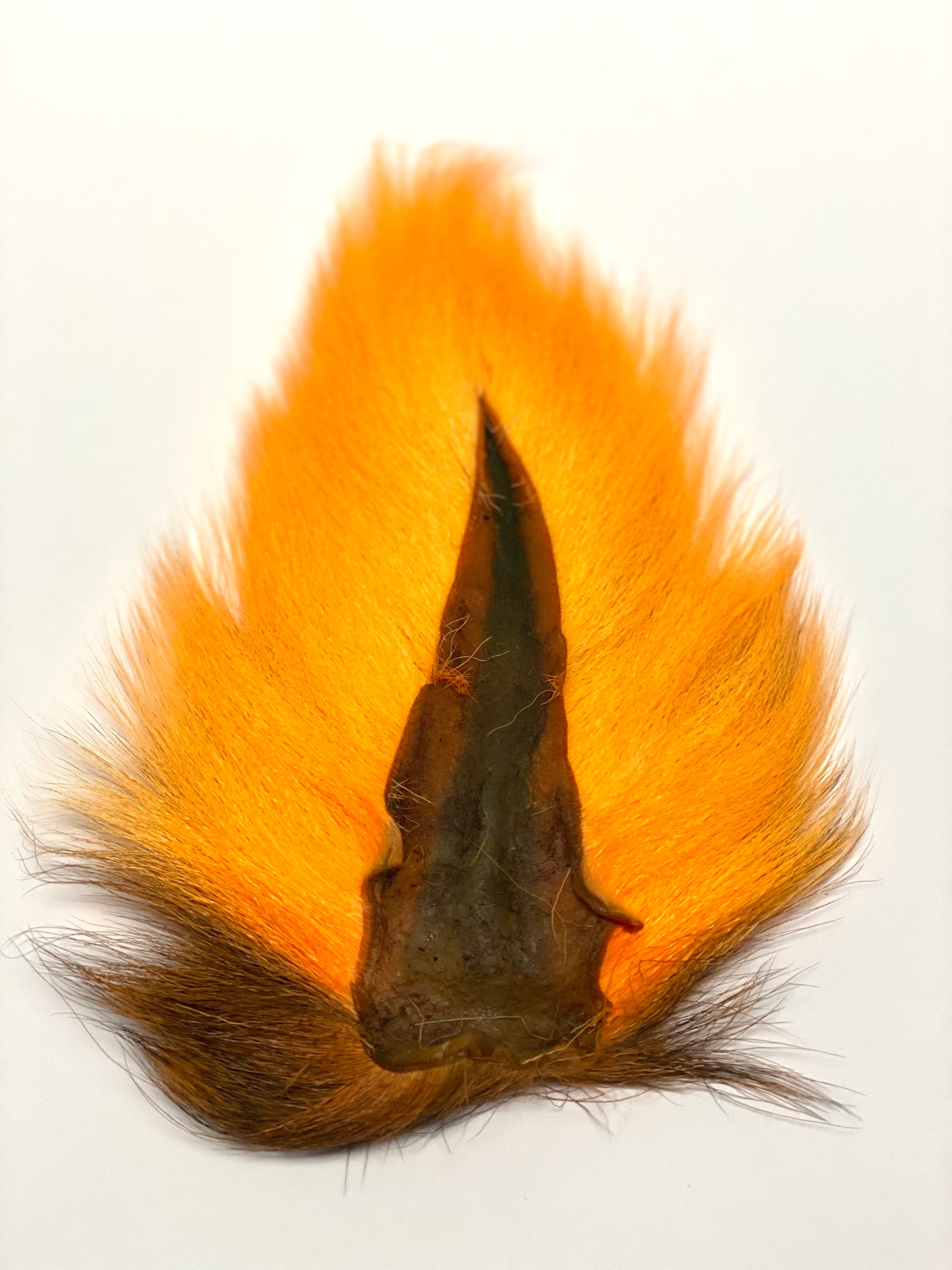 Gentleman's Grade Buck Tail