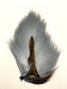 Gentleman's Grade Buck Tail
