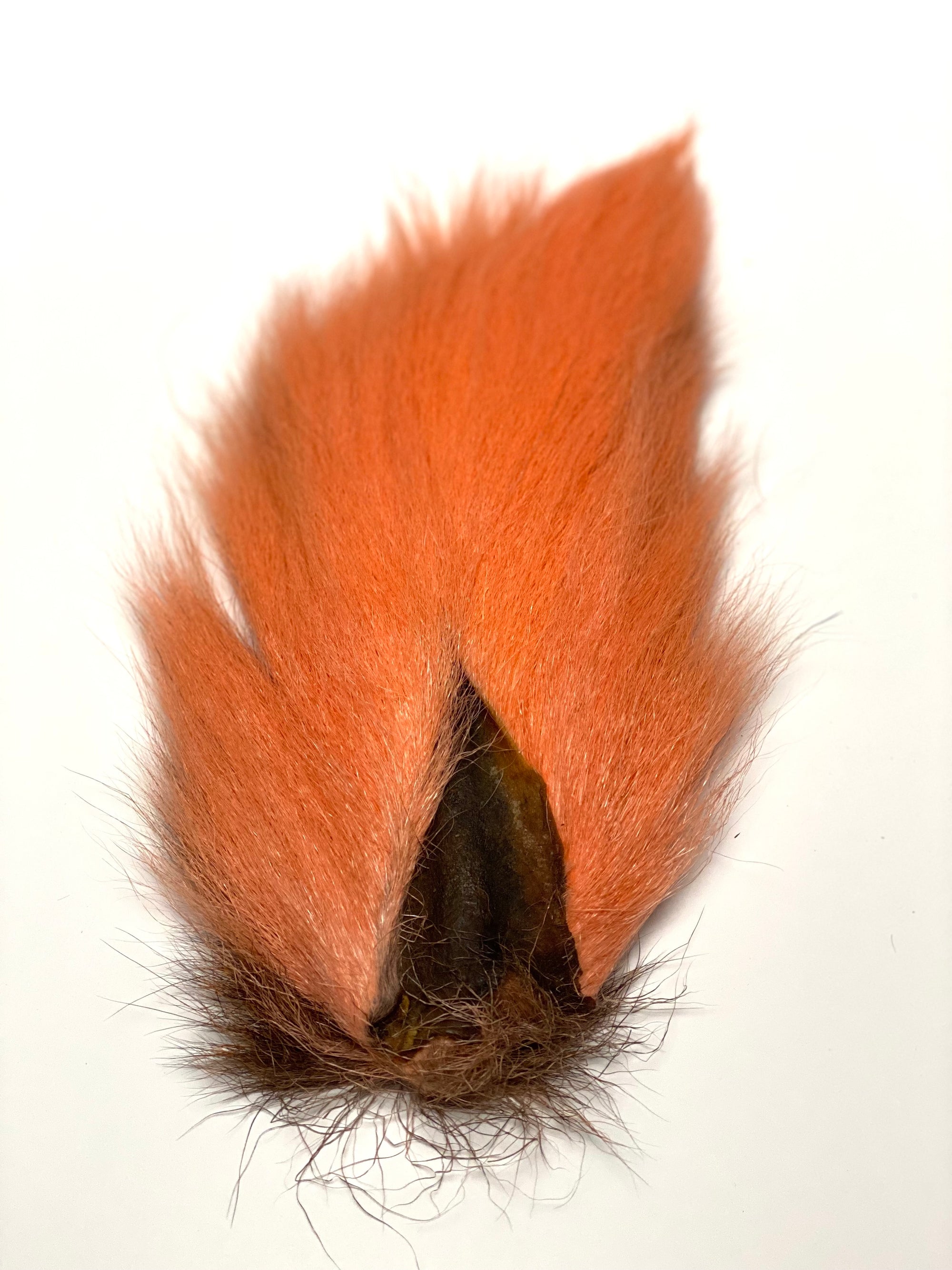 El Presidente Grade Buck Tail