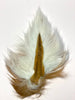 Gentleman's Grade Buck Tail