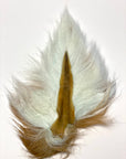 Gentleman's Grade Buck Tail