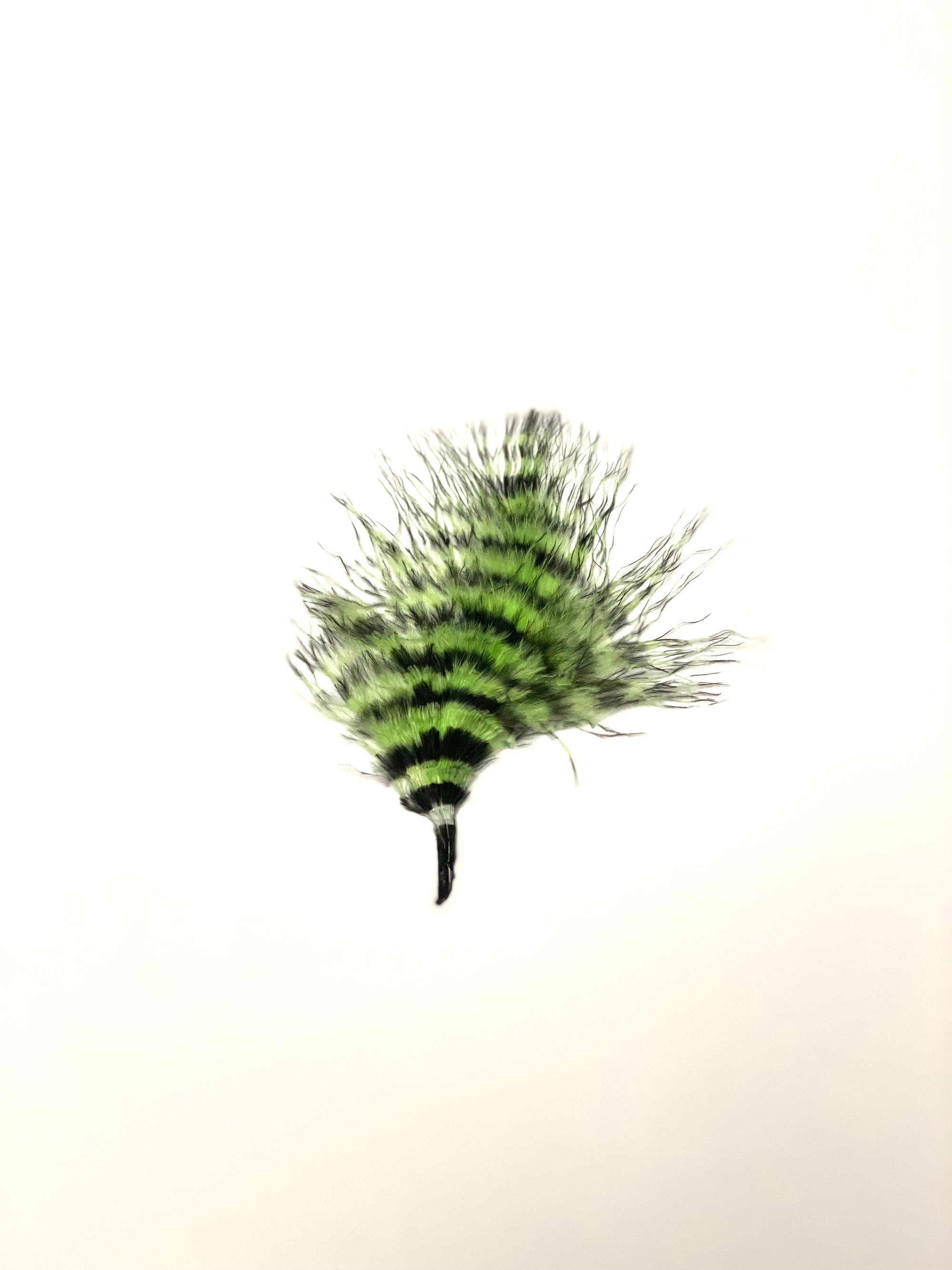 Marabou Barred Loose Medium