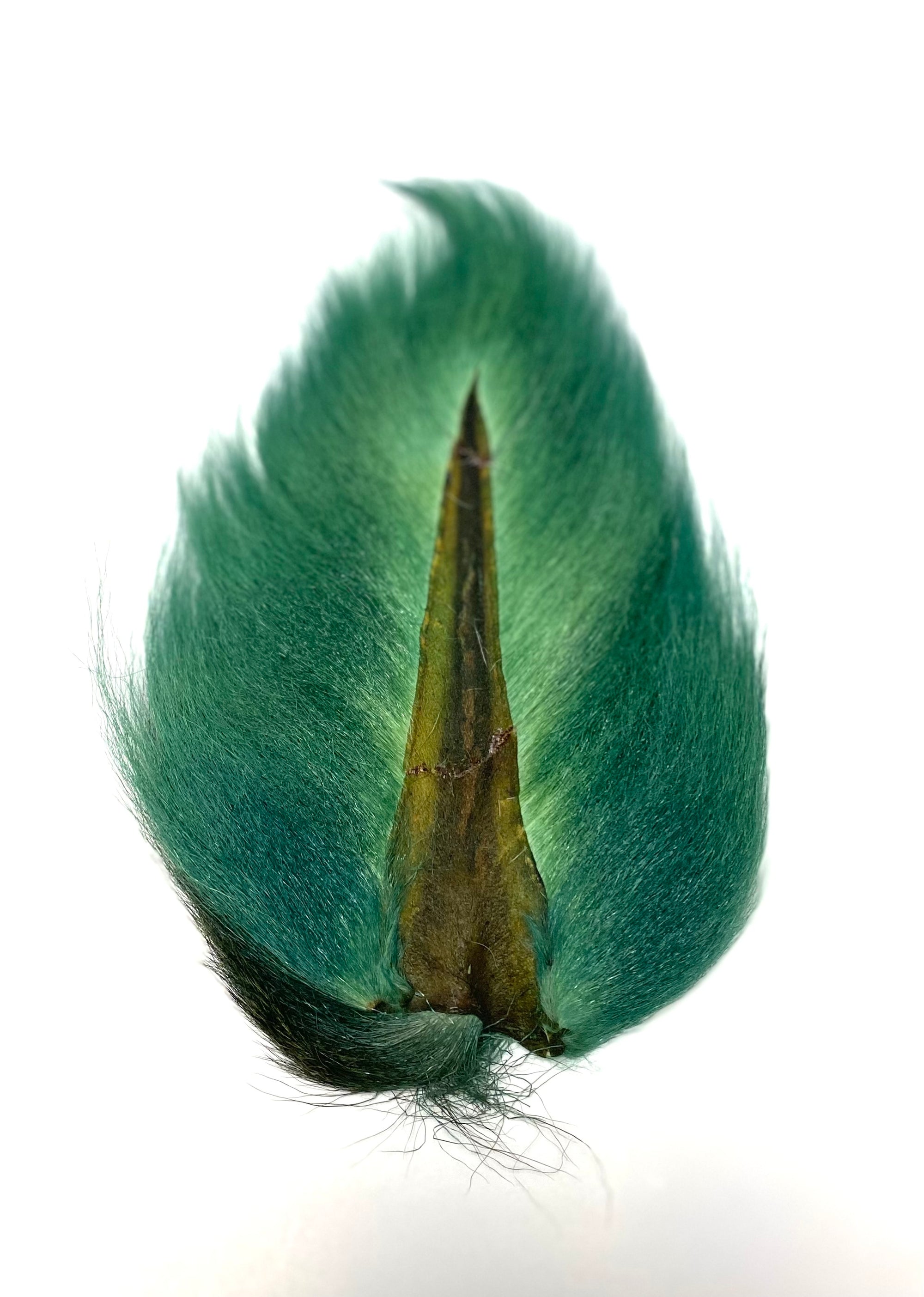 El Presidente Grade Buck Tail