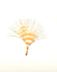 Marabou Barred Loose Medium