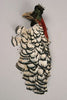 Lady Amherst Pheasant Pelt Selected First Quality (Crest/No Neck)