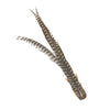 Lady Amherst Pheasant Complete Tail Feather 1 pc