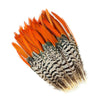 Lady Amherst Red Top Pheasant Tails Selected 2 pc