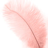 Ostrich Drab Feather Medium 1 pc