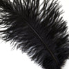 Ostrich Drab Feather Medium 1 pc