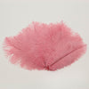 Medium Ostrich Drab Feather 1 pc