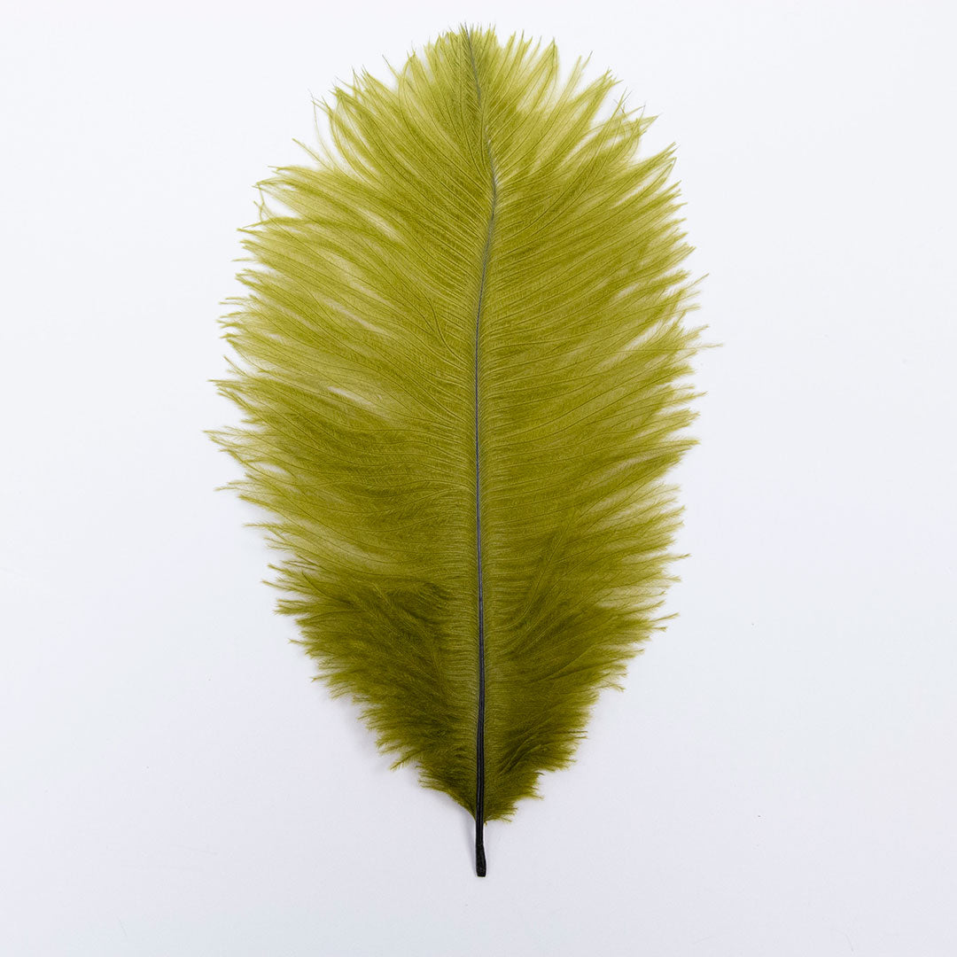 セール！ Feather and Brush：オーストラリア鳥類芸術300年 セール！ Feather and Brush：オーストラリア鳥類芸術300年